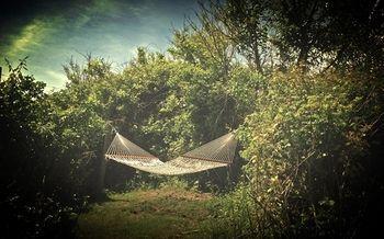 Sea Breeze Inn New Shoreham Εξωτερικό φωτογραφία
